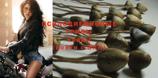 гашик Магас