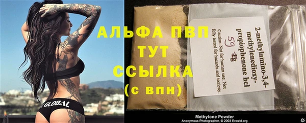 гашик Магас