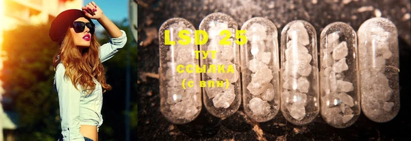 гашик Магас