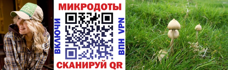 Купить  Калуга  Галлюциногенные грибы мухоморы 